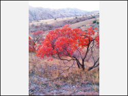 Washlovani National Park_980.jpg